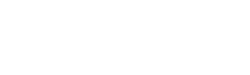 Orion Electronic Engineering